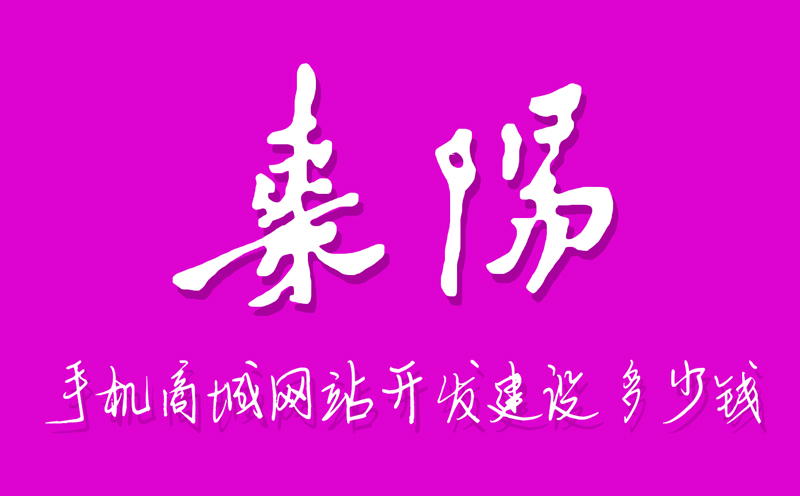 棗陽(yáng)手機(jī)小程序商城網(wǎng)站開發(fā)建設(shè)多少錢