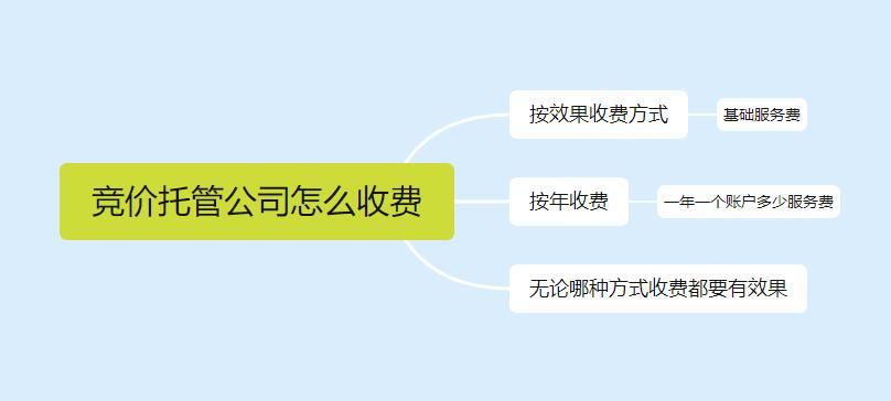 競價托管公司多少錢