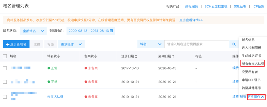 域名管理列表